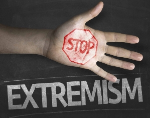 Противодействие экстремизму