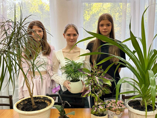 ЦВЕТЫ, КОТОРЫЕ ОБЪЕДИНЯЮТ